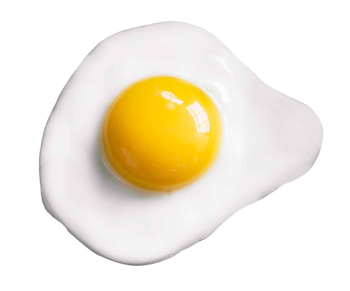 Yumurta N1 yumurtaları